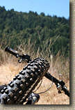 images/Trails/Norcal07/Norcal07-SDF-16JUL07-02.jpg