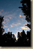 images/Trails/Norcal07/SantaCruz-RedwoodSunrise.jpg